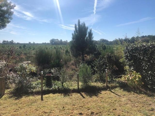 Village Ocelandes Saint-Julien-en-Born Εξωτερικό φωτογραφία